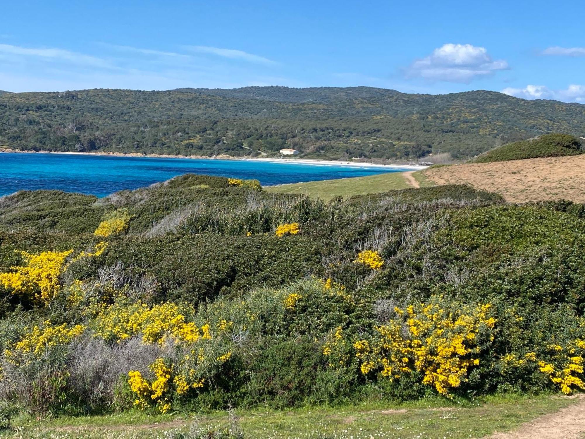 Marinella Route Des Sanguinaires Corse Ajaccio (Corsica)